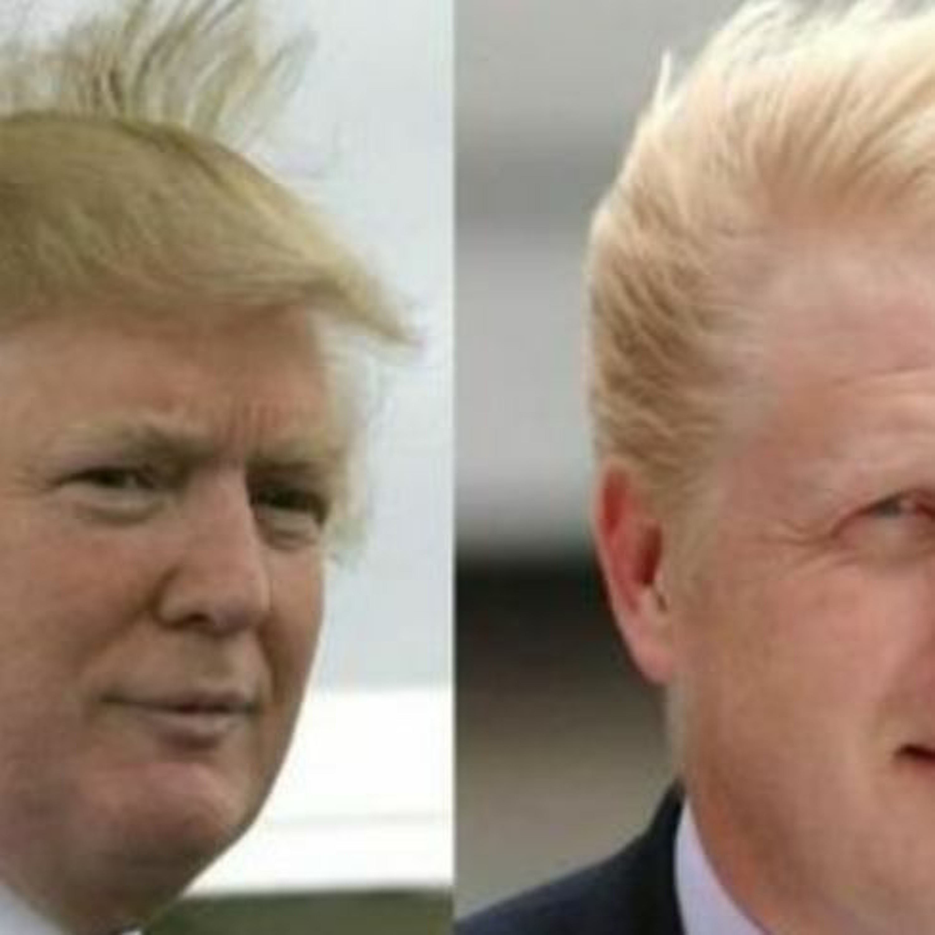 FRDH Podcast with Michael Goldfarb