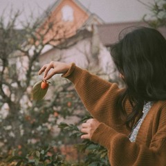 Xuân Hạ Thu Đông Rồi Lại Xuân / Ái Phương (Lyrics)