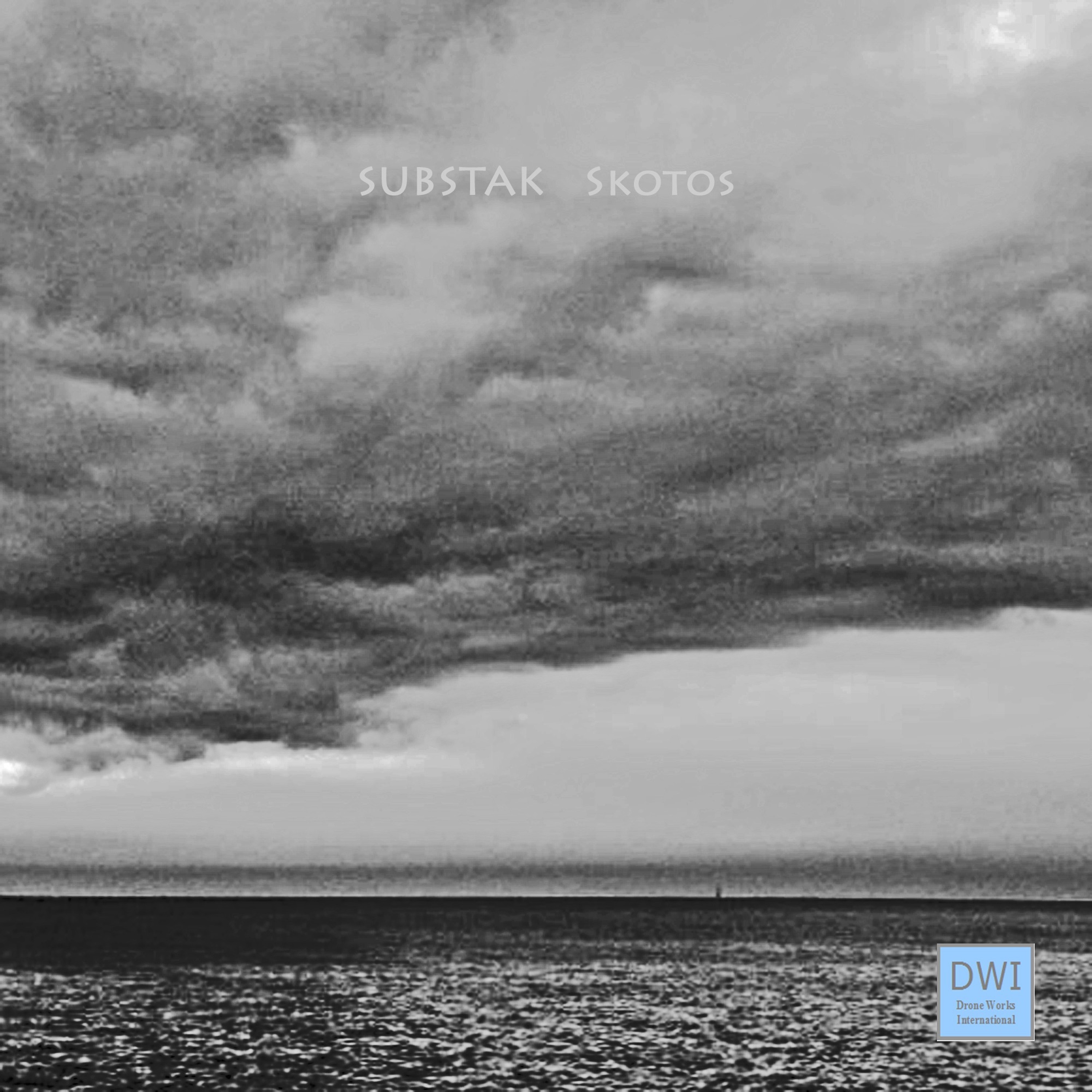 Drone Works International