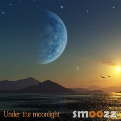 Under The Moonlight