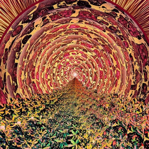 Pierreformance - 2087