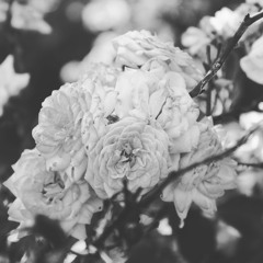 Patience (feat. Westech)