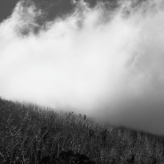 Heartland Theme (excerpt)