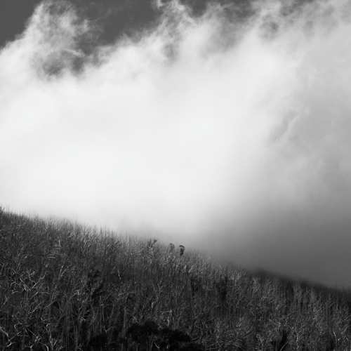 Procession (excerpt)