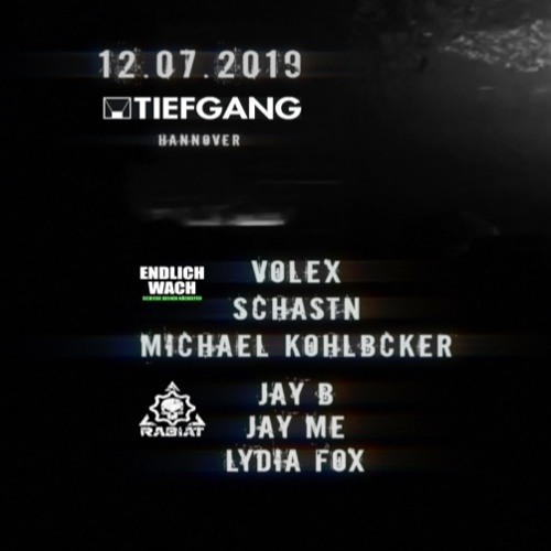 Volex @ Rabiat meets Endlich Wach // Tiefgang, Hannover (12.07.19)