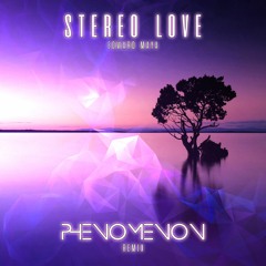 Stereo Love ( PHENOMENON Remix )