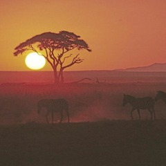 Africa ambient