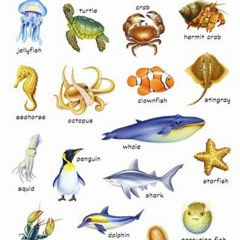 Work / baby needs to sleeeeeeep