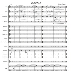 Berkay Toprak - Prelude No. 2 (symphonic poem)