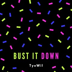 Bust It Down- TyeWil