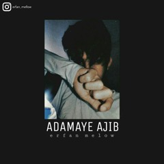 Adamaye Ajib