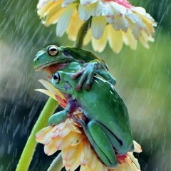 Do We Ever Really Know?  .. improv.