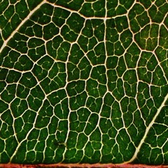 D-deep // Deep House Music // Summer Night