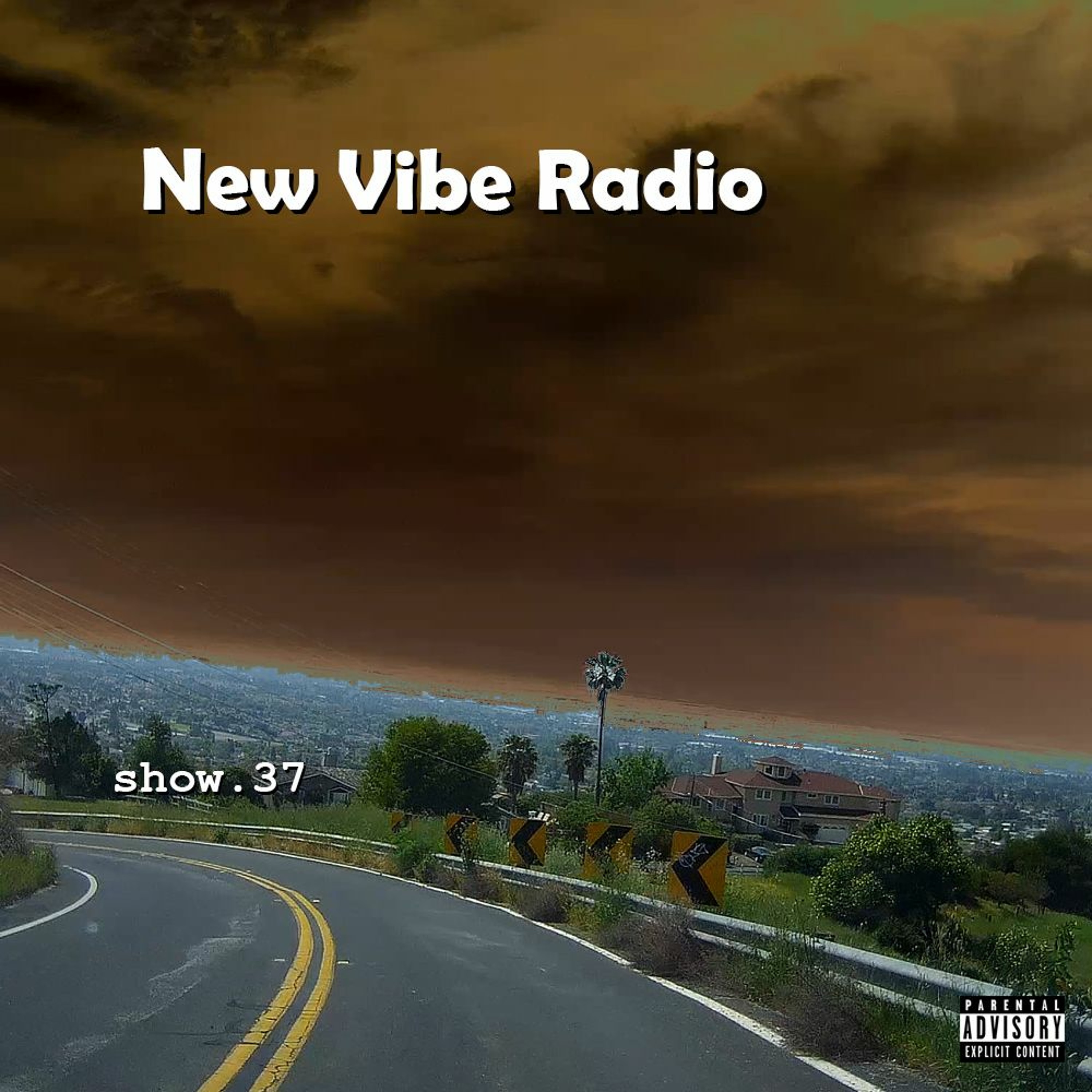 New Vibe Radio