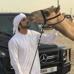 اهل الهجن | عيضه المنهالي