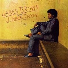 James Brown | Blind Man Can See It (1973) Extended