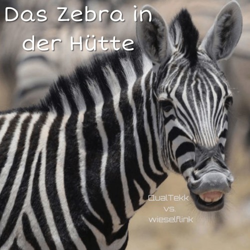 QualTekk [C.B.R] vs. wieselflink - Das Zebra in der Hütte [187bpM]