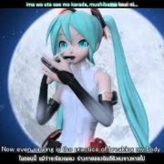 The Disappearance Of Hatsune Miku