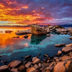 Colors