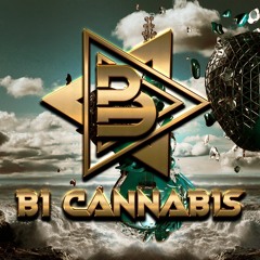 Lỗi ở yêu thương (Full) Bi Cannabis remix