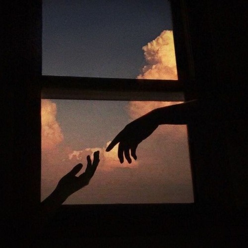 Where the light falls F. 추서준,kumira