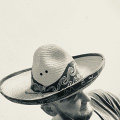 Tracks´n´Minibar - Vol.2 (Ausschnitt)