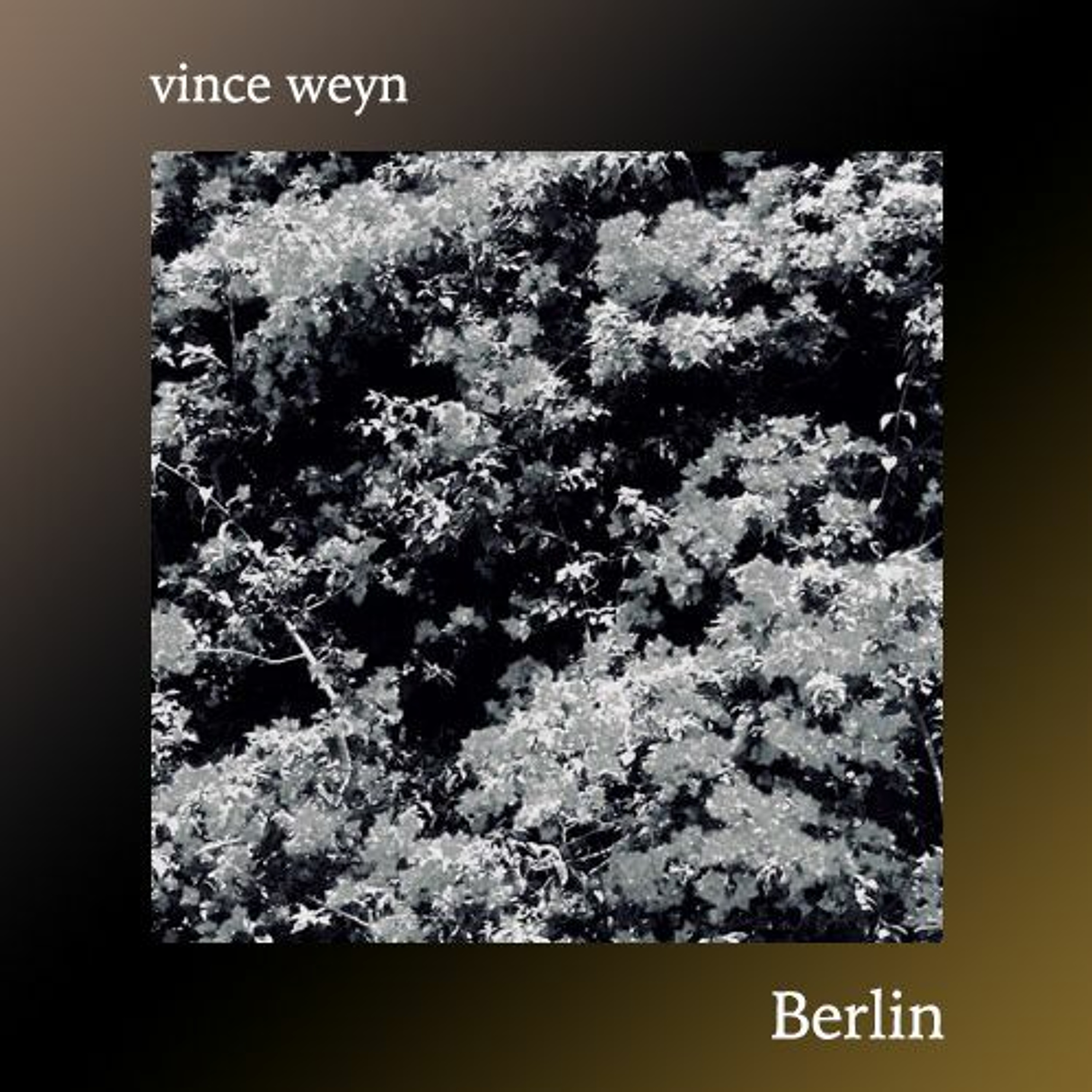vince weyn Podcast