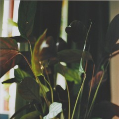 take_it_slow