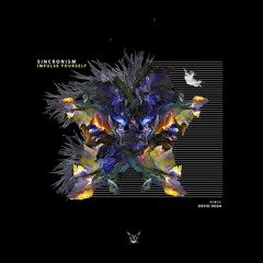 Sincronism - Impulse Your Self (Devid Dega Rmx) [Black Kat]