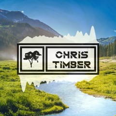 Adam & Steve - Wherever You Are ft. Maty Noyes [Chris Timber Remix]