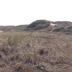 Songs Between Sand And Sky by Katrine Faber
