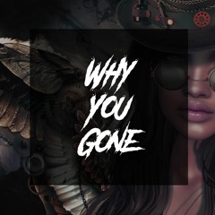 Schleini - Why You Gone [HARDTEKK]
