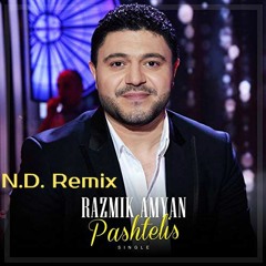 Razmik Amyan - Pashtelis {Nar Davtyan Remix}