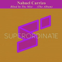 Nahuel Carrizo - Blind In The Mist (Analog Trip Remix)