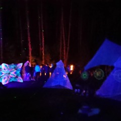 Janko - Morning @ trance stage Organic Festival