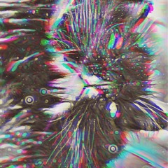 Vollstreckung der Ausreisepflicht 1.0