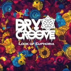 Dry Groove - Look of Euphoria (Original Mix)