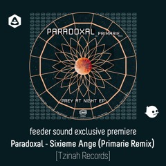 💥 feeder sound exclusive premiere: Paradoxal - Sixieme Ange (Primarie Remix) - TZH111