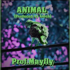 Animal (Prod. Lotch)