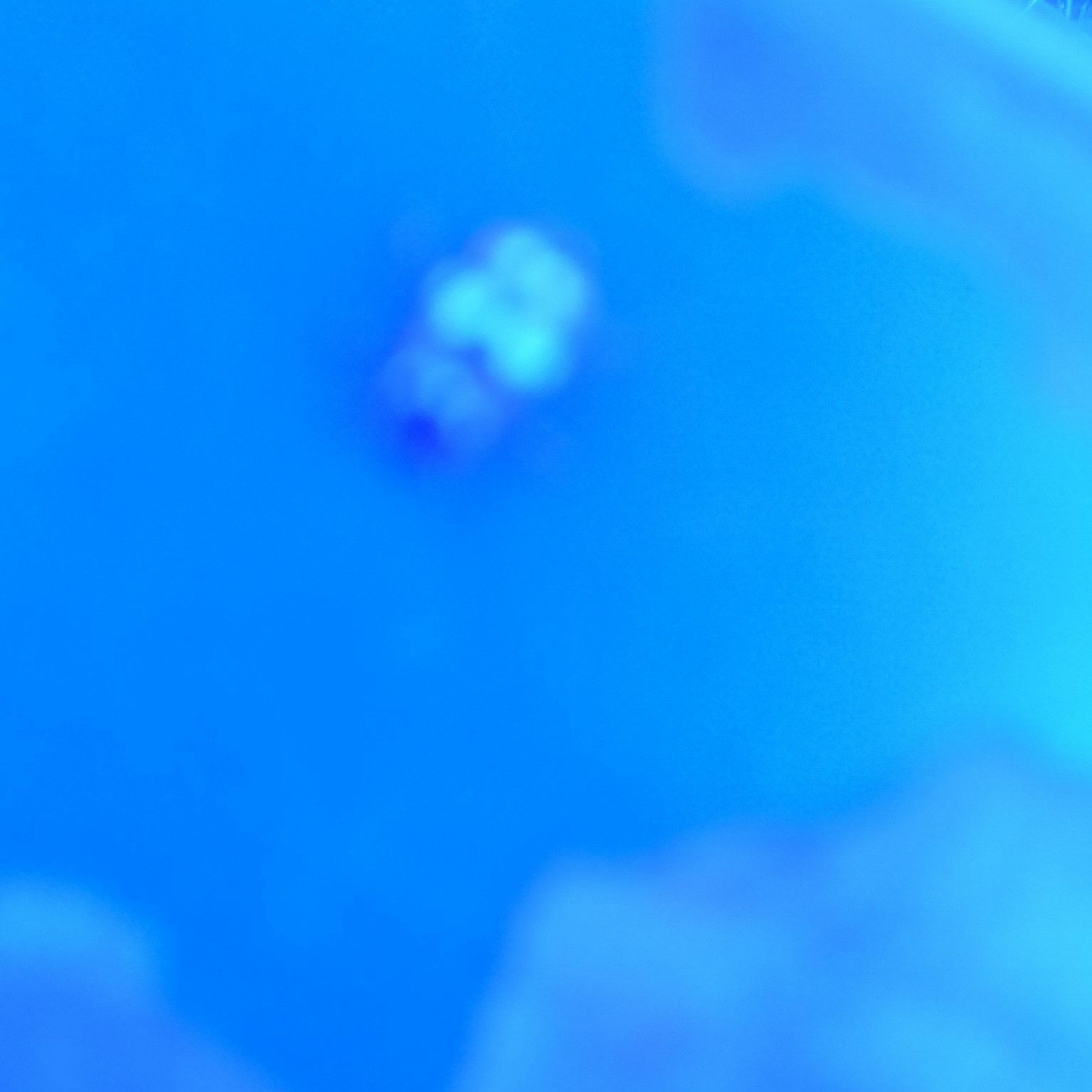 Dxisn2