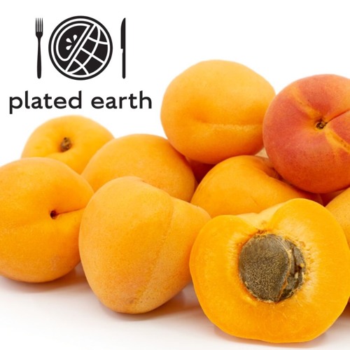 Episode 101 - Food Buzz: History of Apricots