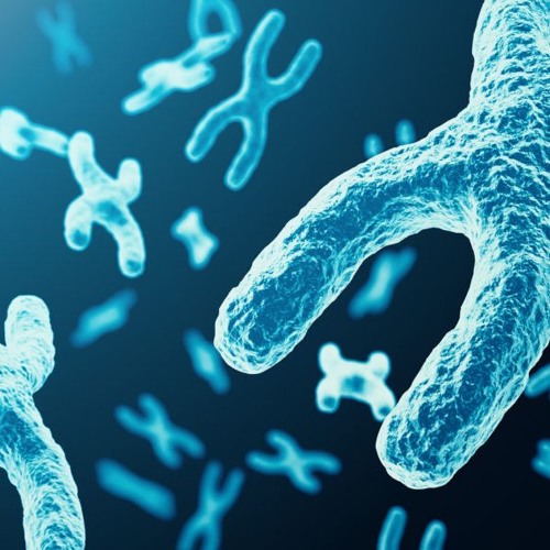 DanDan - Monotone Chromosome [145 Bpm]