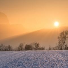 Winter Sun