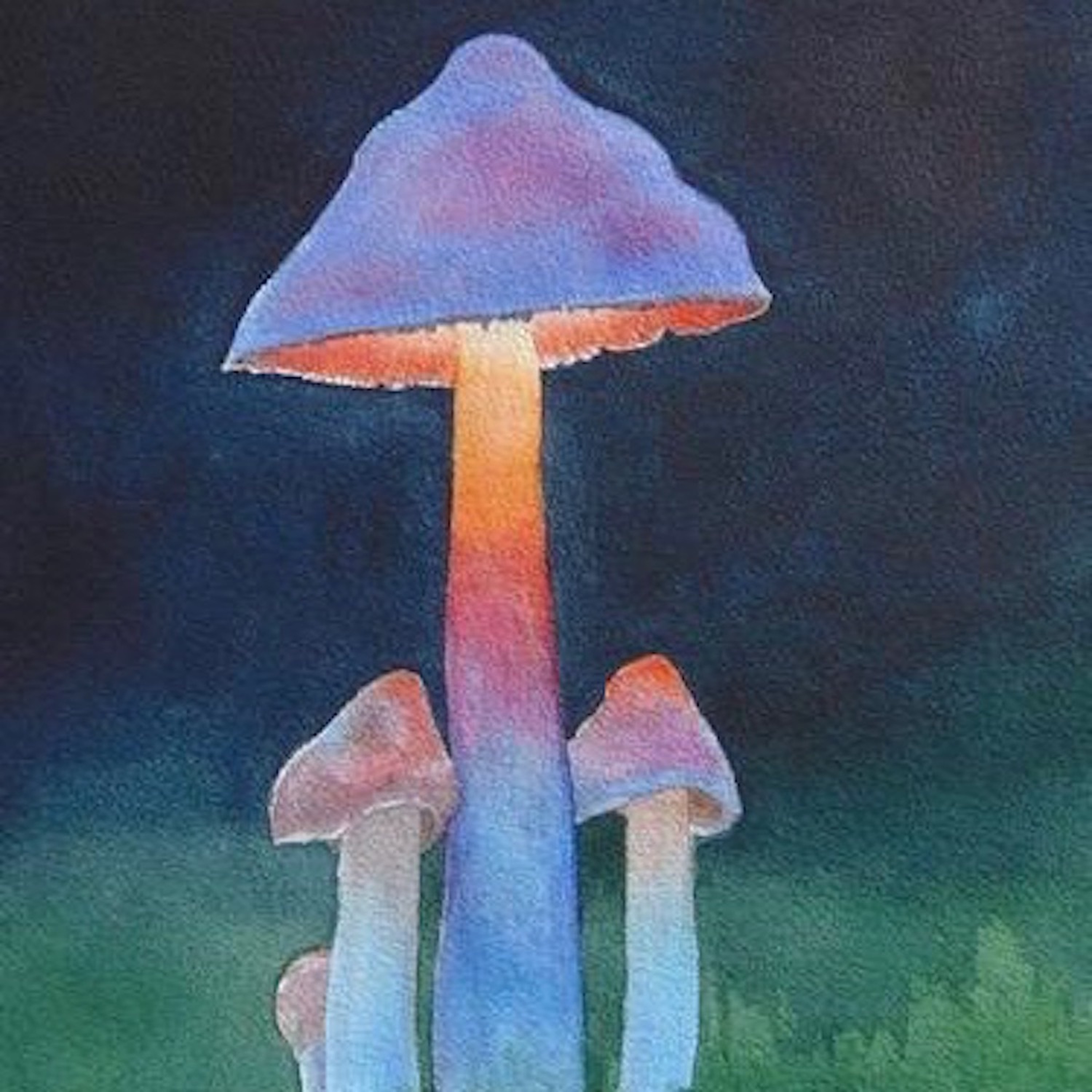 Trip episode artwork