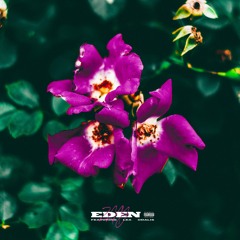 Eden feat. Lea Odalis (prod by 1995)