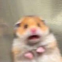 houch x yungmaple - minecraft lofi