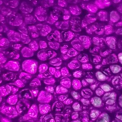 The Lights, They Follow me