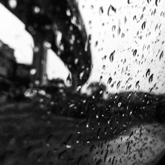 Sun Shower