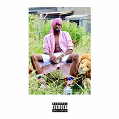 SMD Freestyle (Still Tippin')