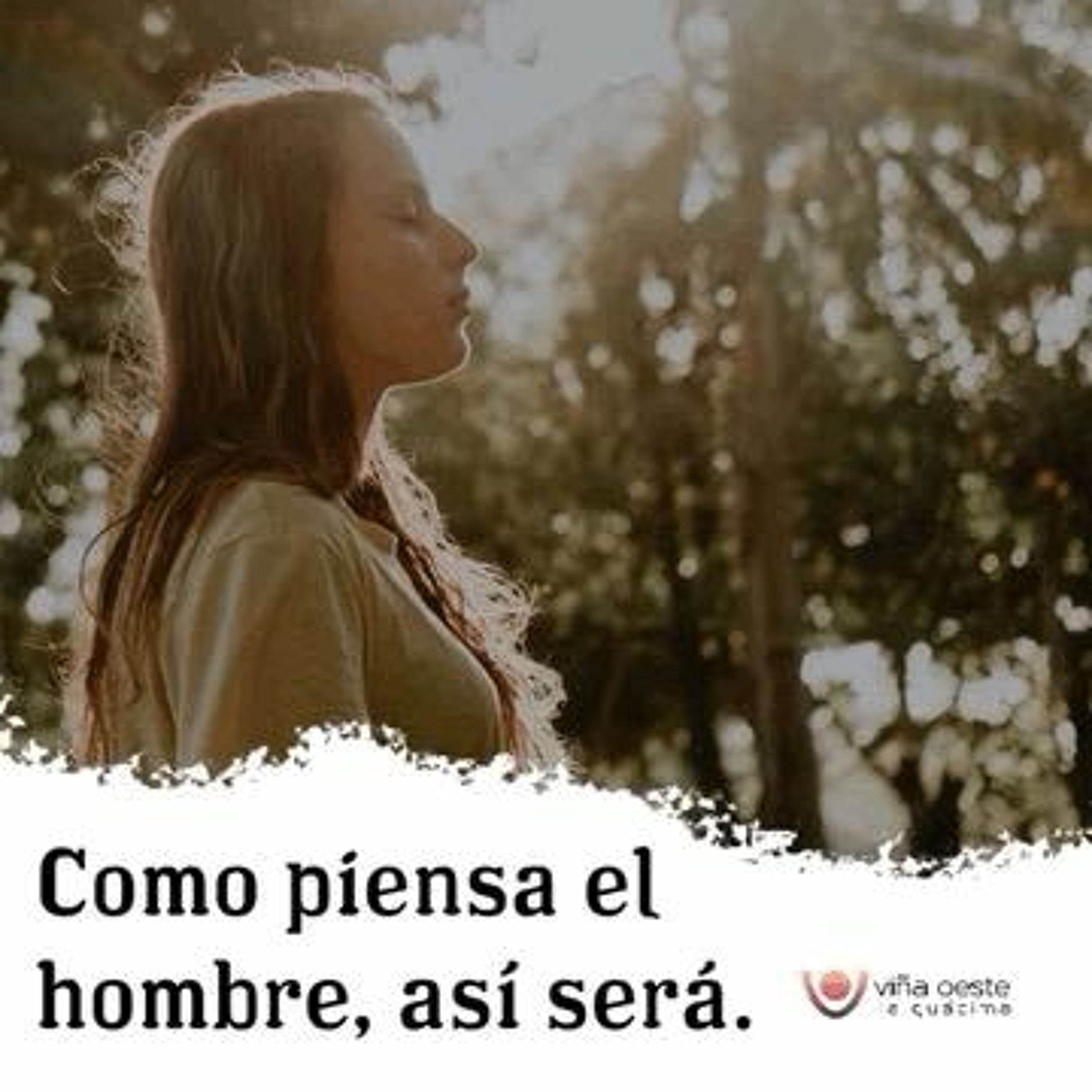 Viña Oeste La Guácima